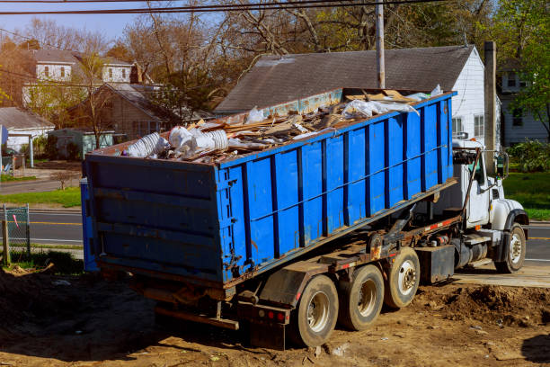 Yard Cleanup Services in Live Oak, FL